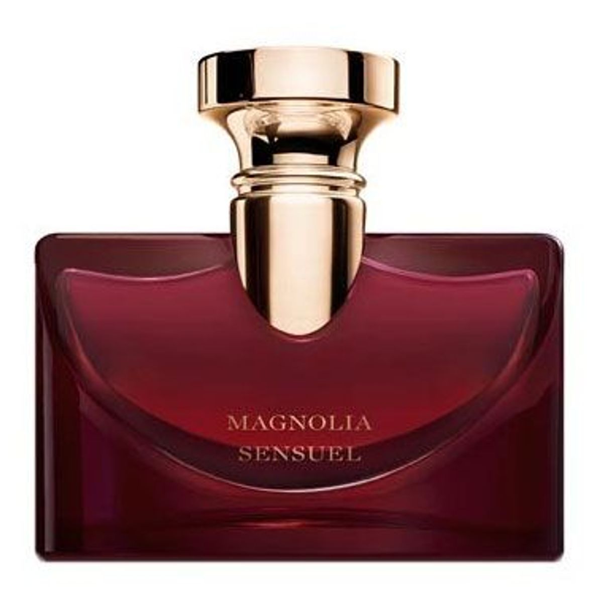 Splendida Magnolia Sensuel