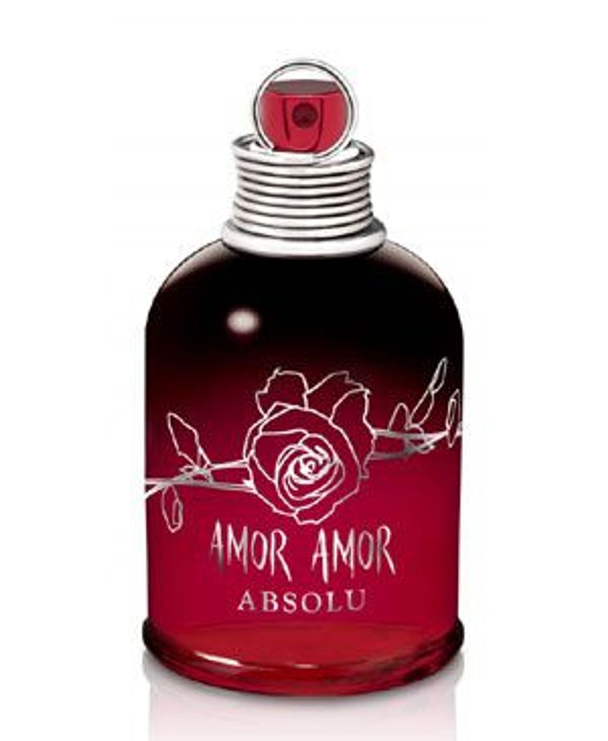 Amor Amor Absolu