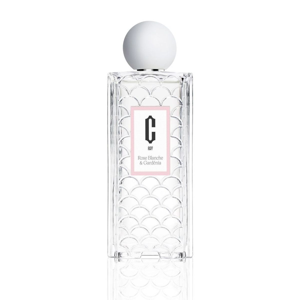 Rose Blanche & Gardénia