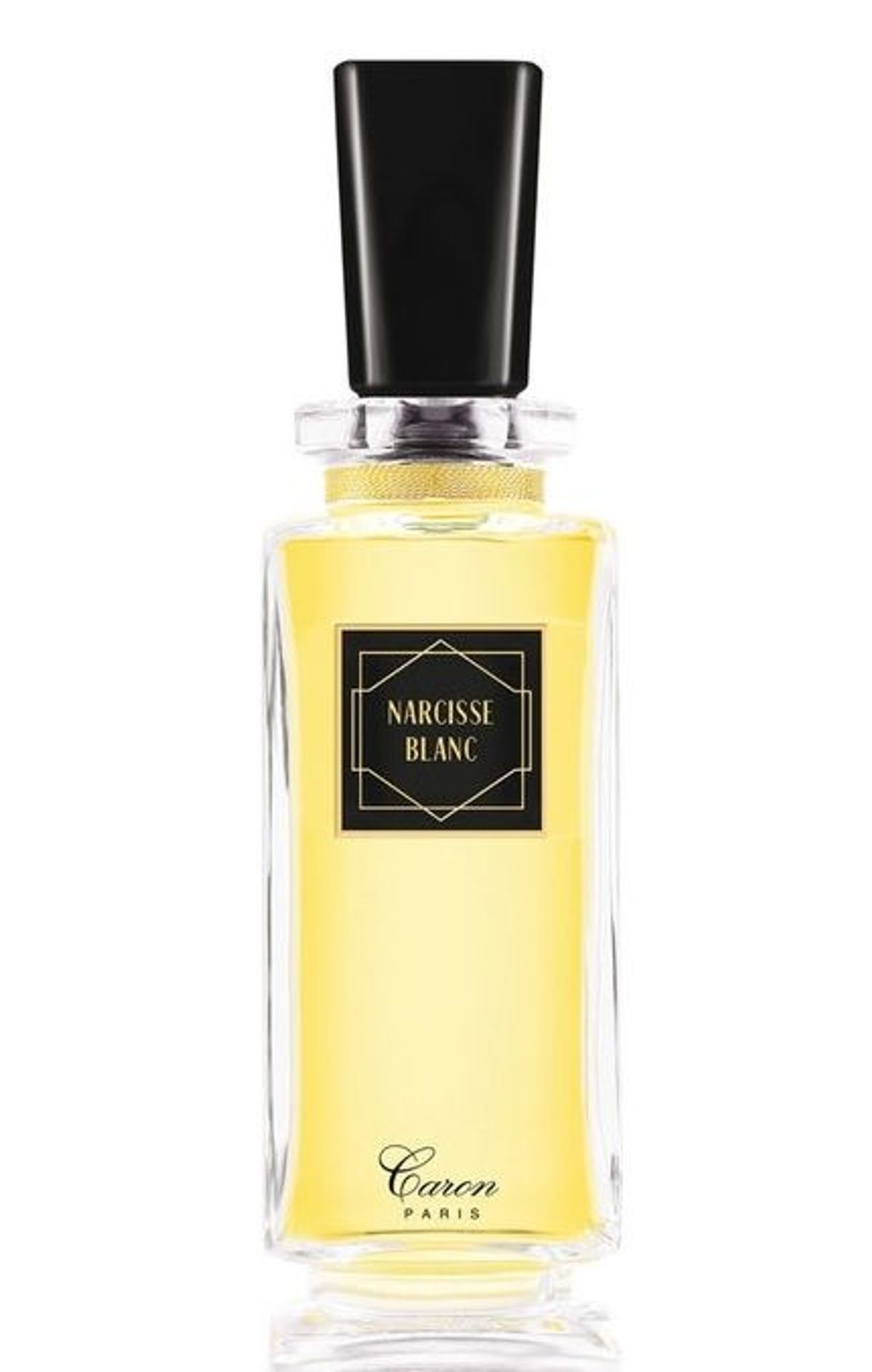 Narcisse Blanc