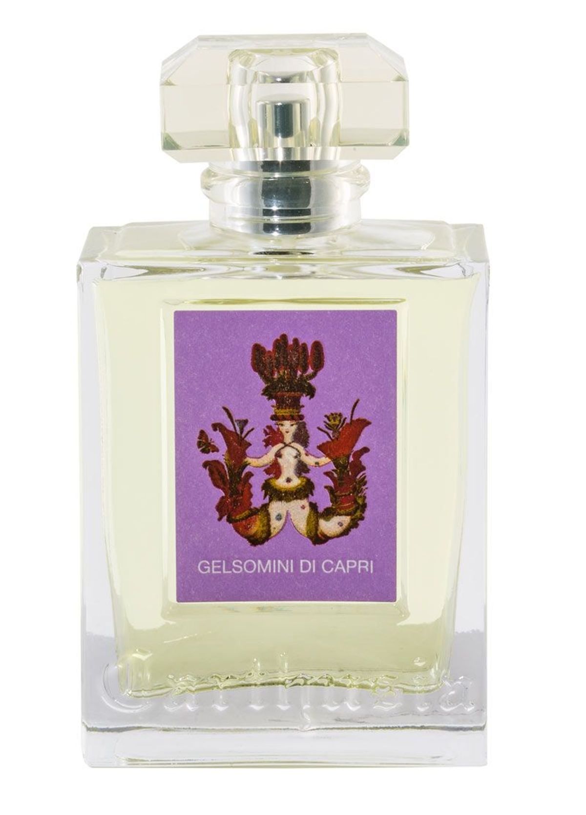 Gelsomini di Capri 2017