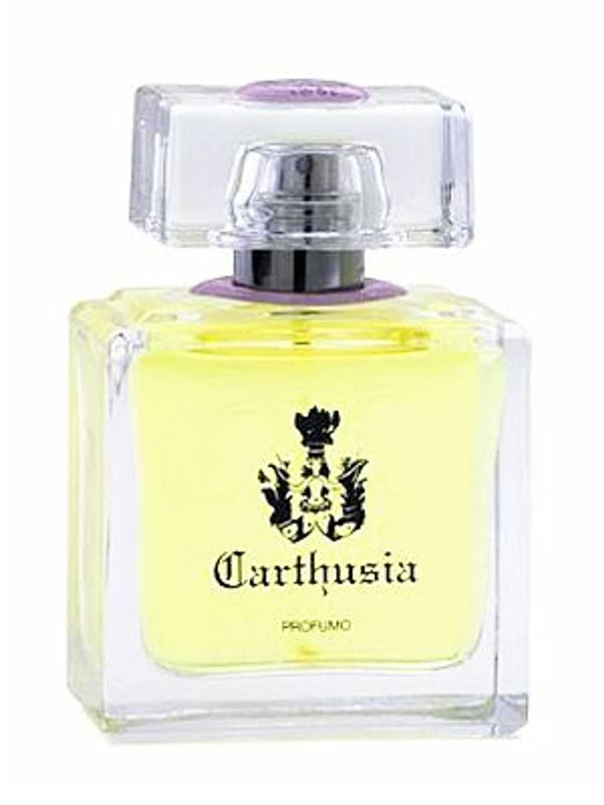 Gelsomini di Capri