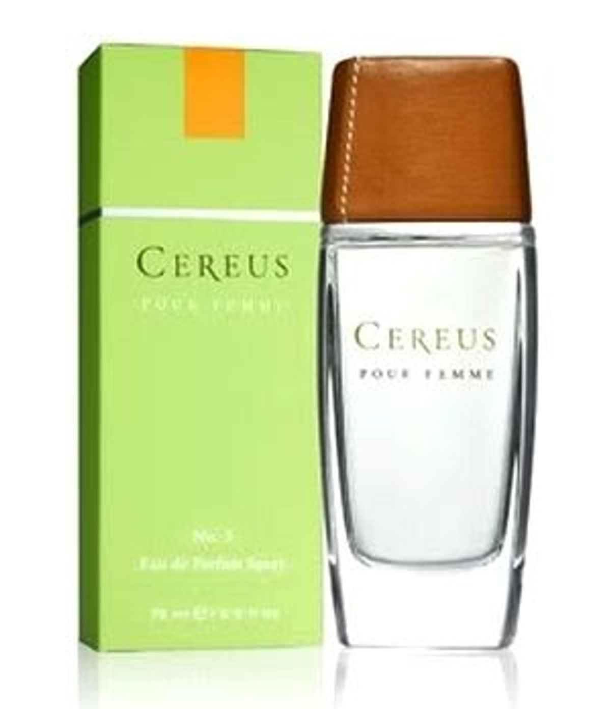 Cereus No.3