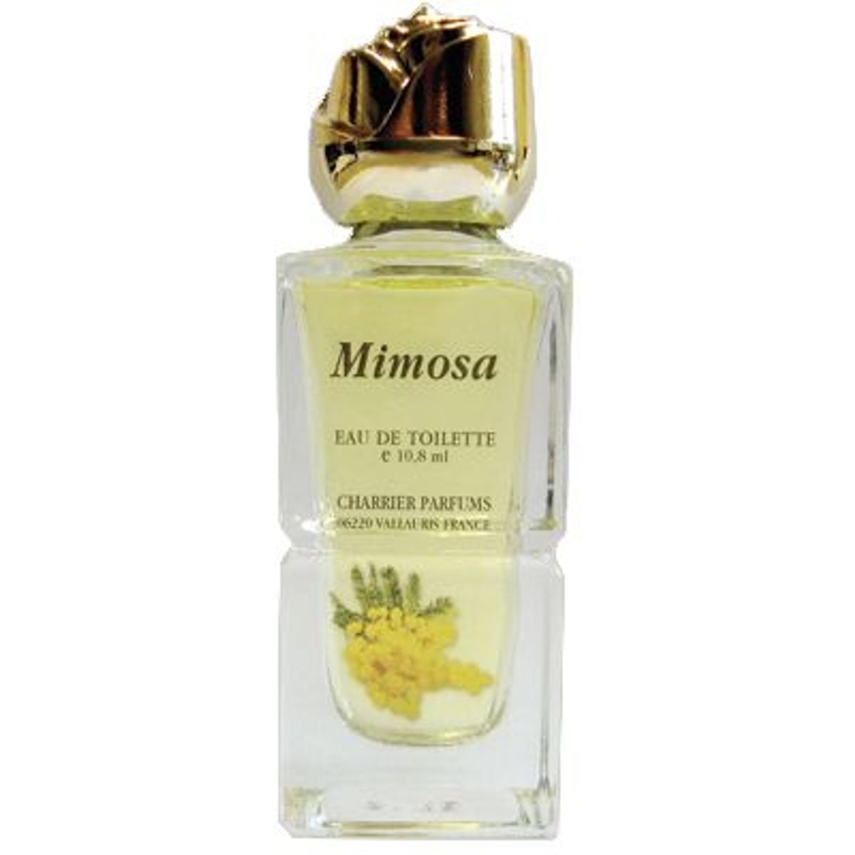 Mimosa