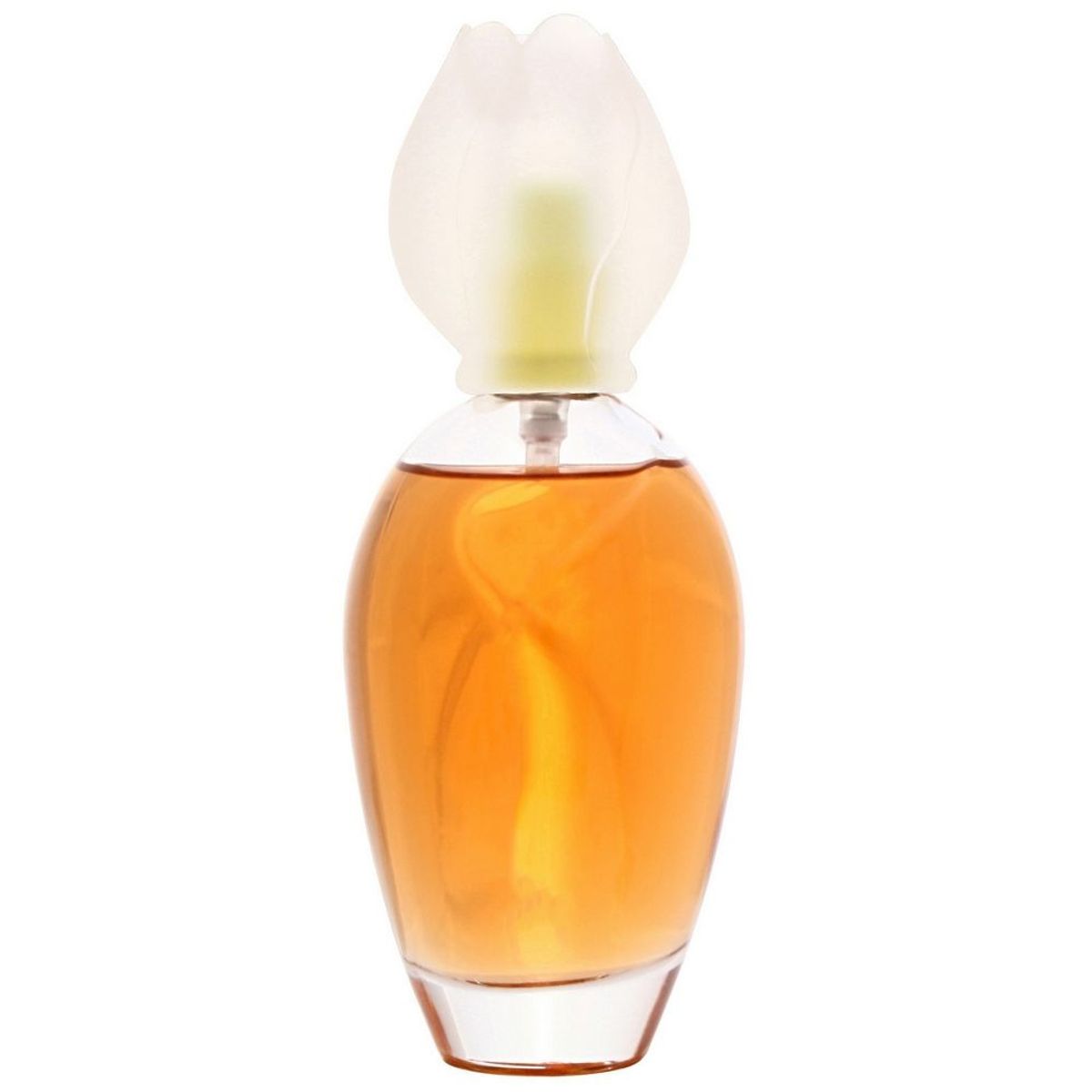 Fleur de Narcisse