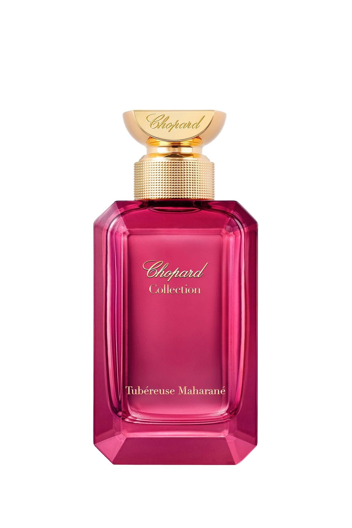 Tubéreuse Maharané