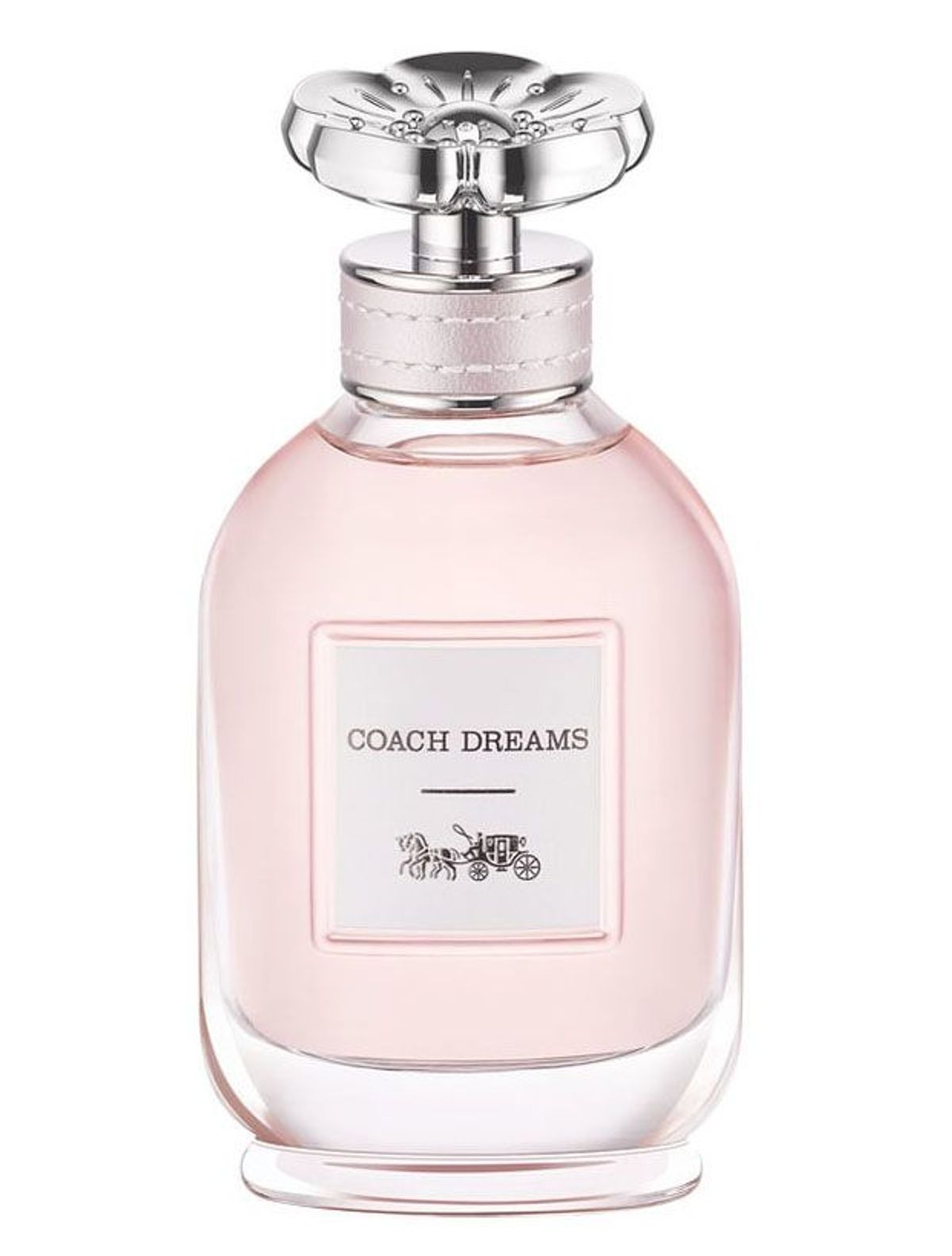 Coach Dreams