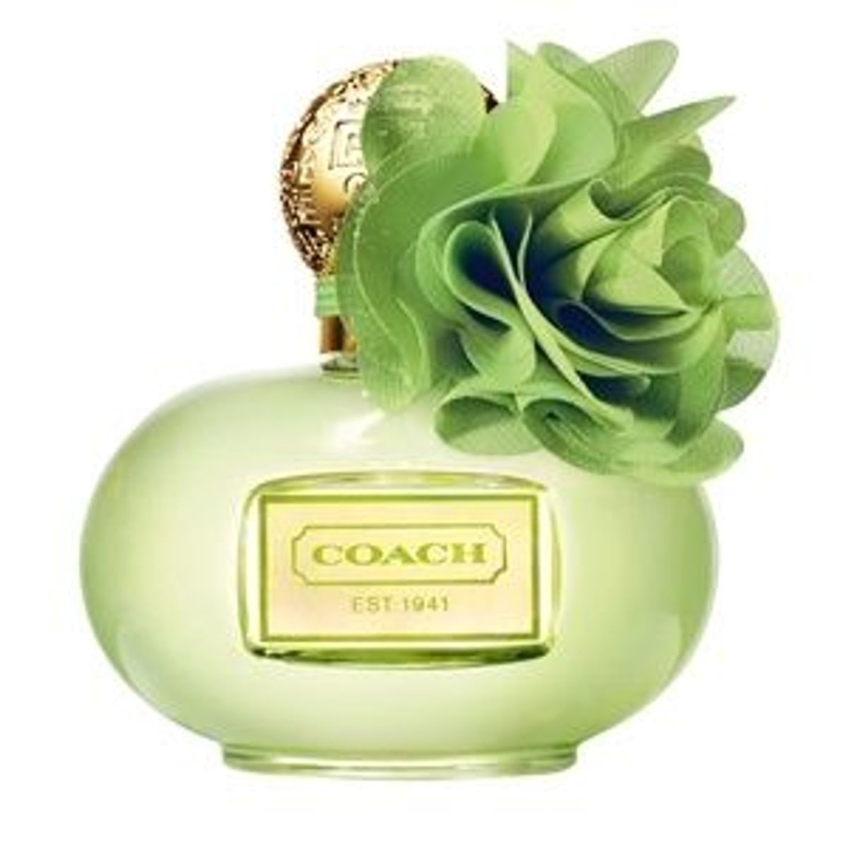Coach Poppy Citrine Blossom