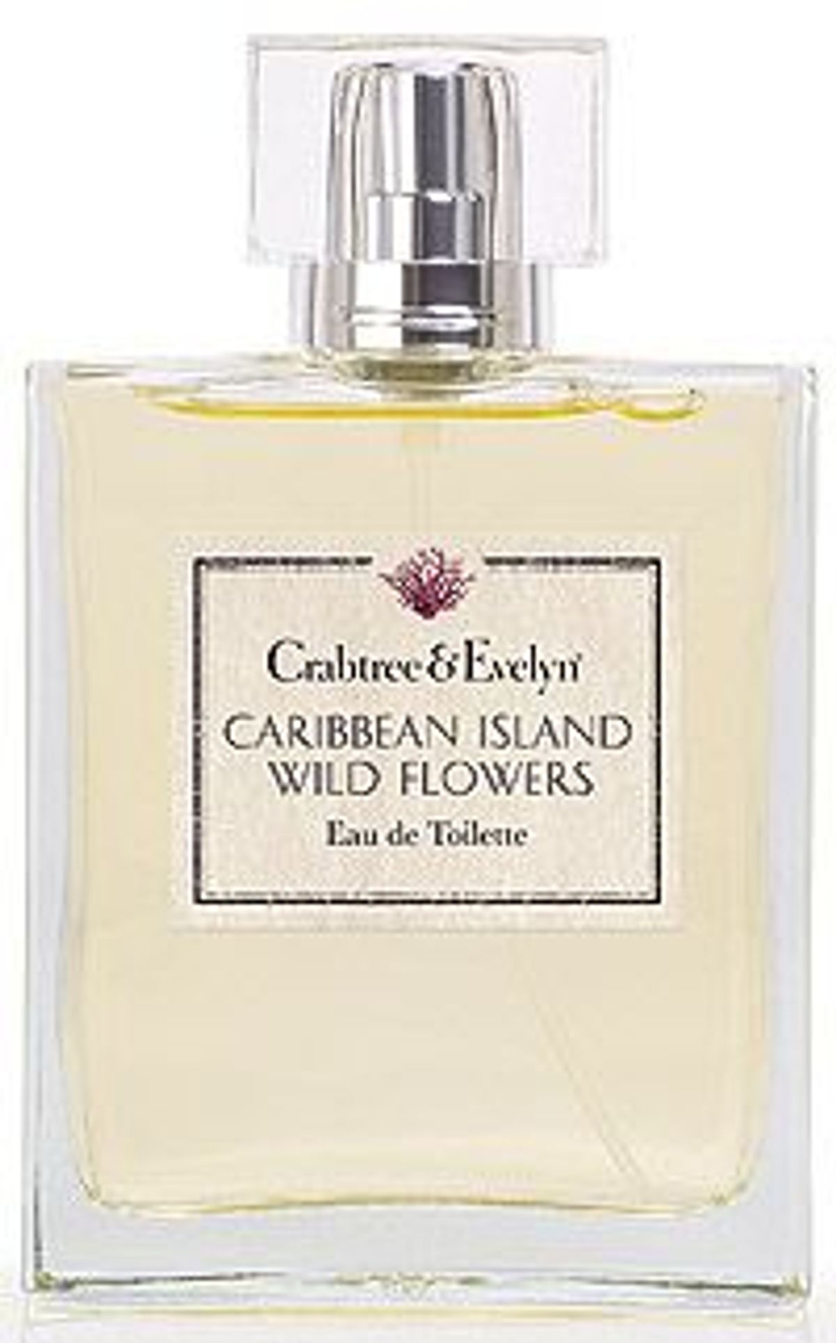 Caribbean Island Wild Flowers