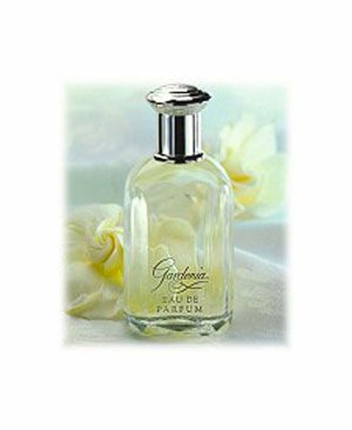 Gardenia