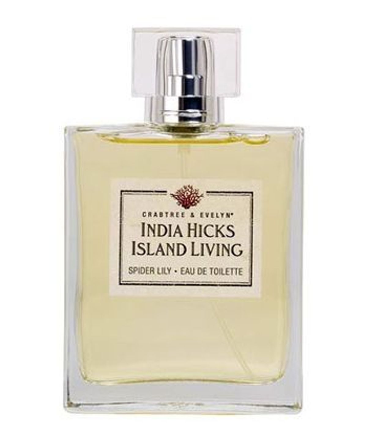 India Hicks Island Living - Spider Lily