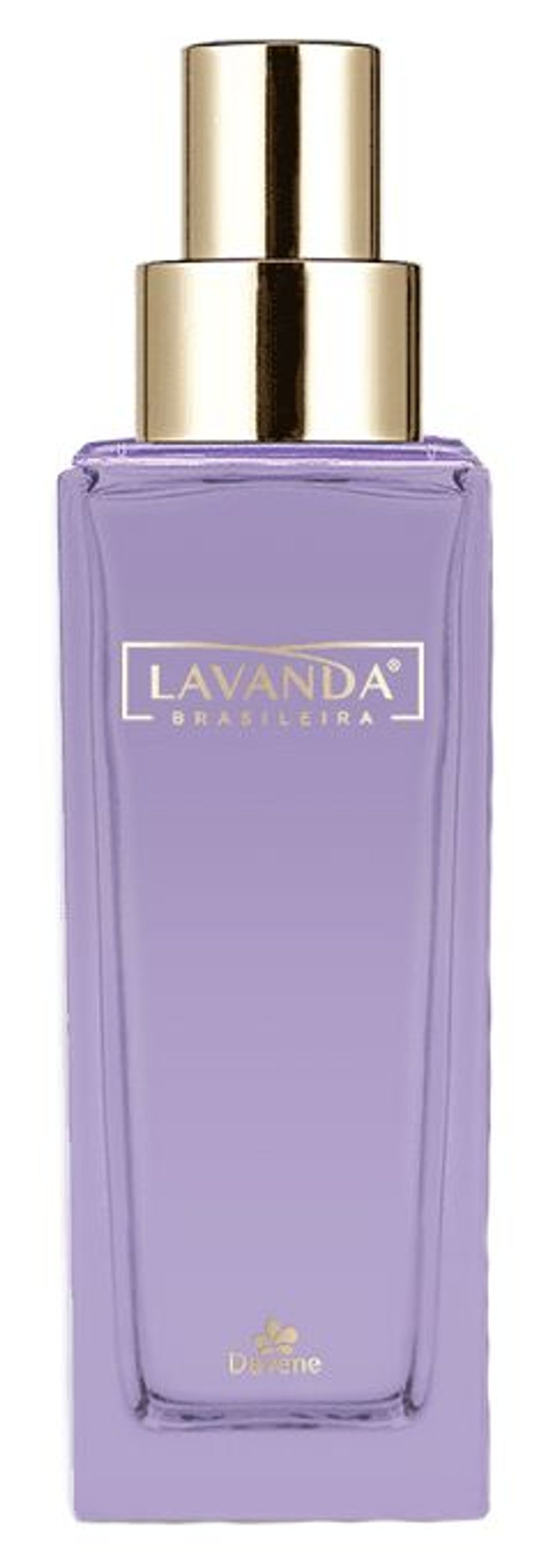 Lavanda Brasileira