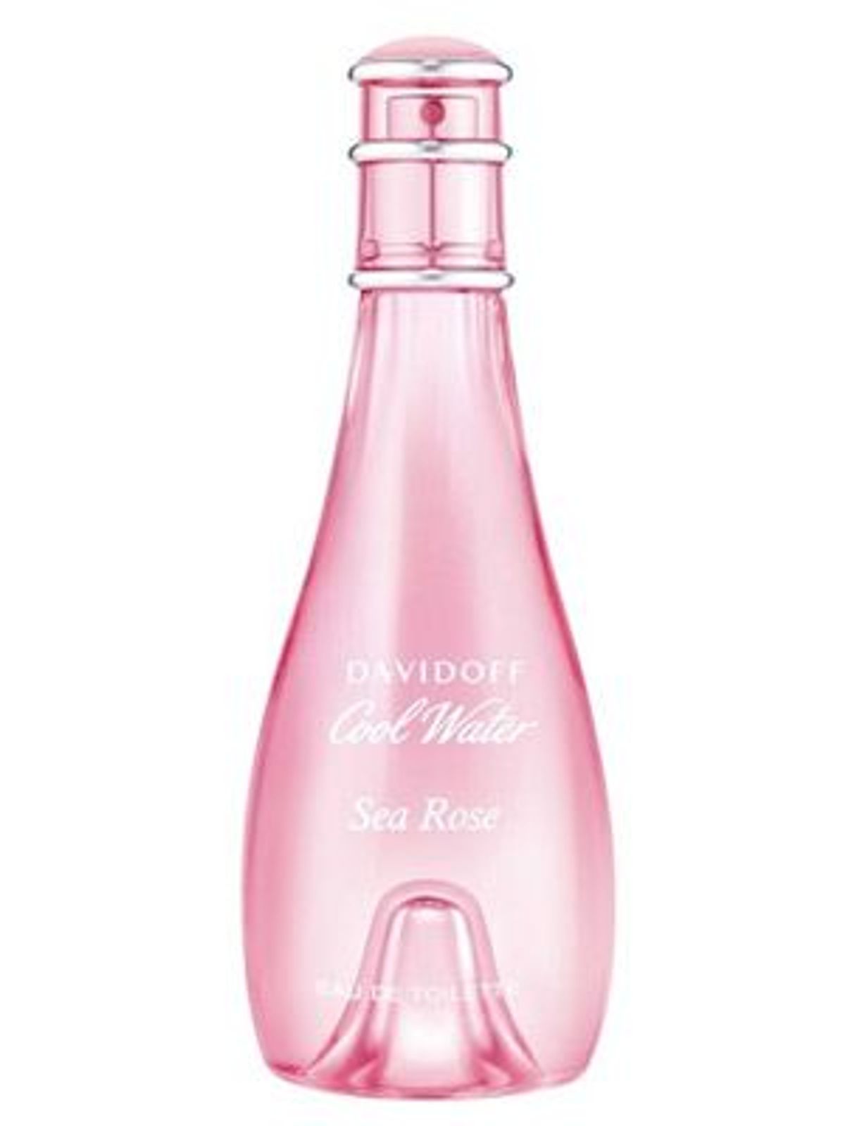 Cool Water Sea Rose