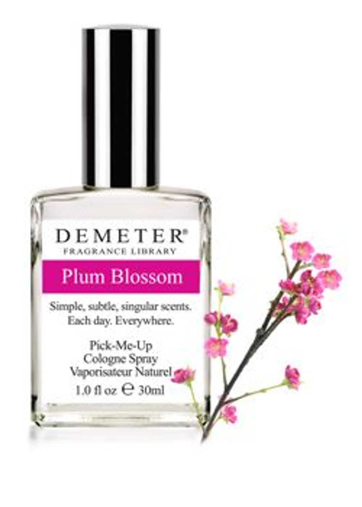 Plum Blossom