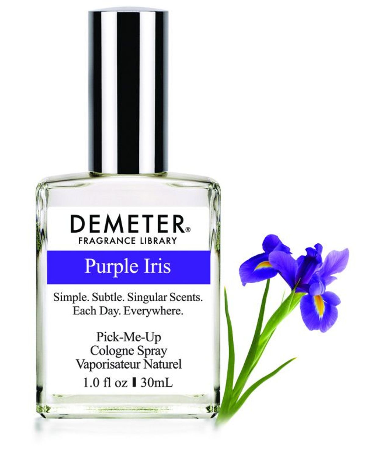 Purple Iris