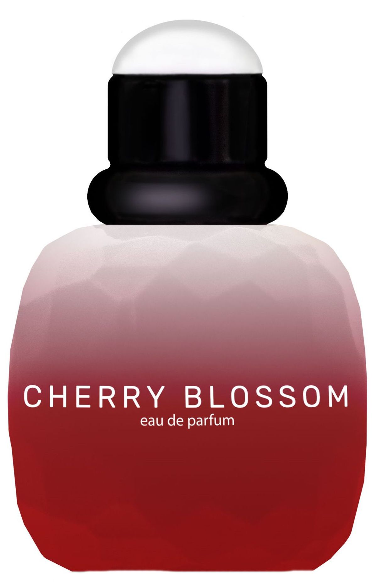 Cherry Blossom
