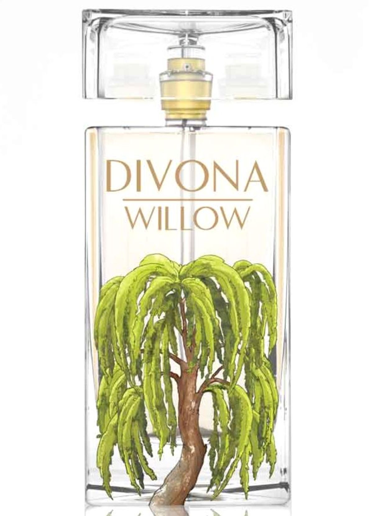 Willow