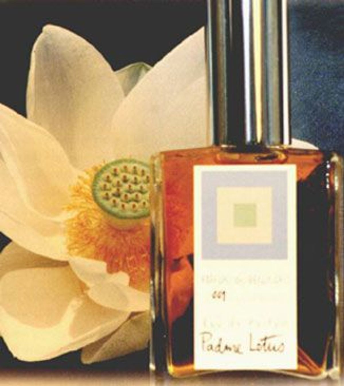 Padme Lotus