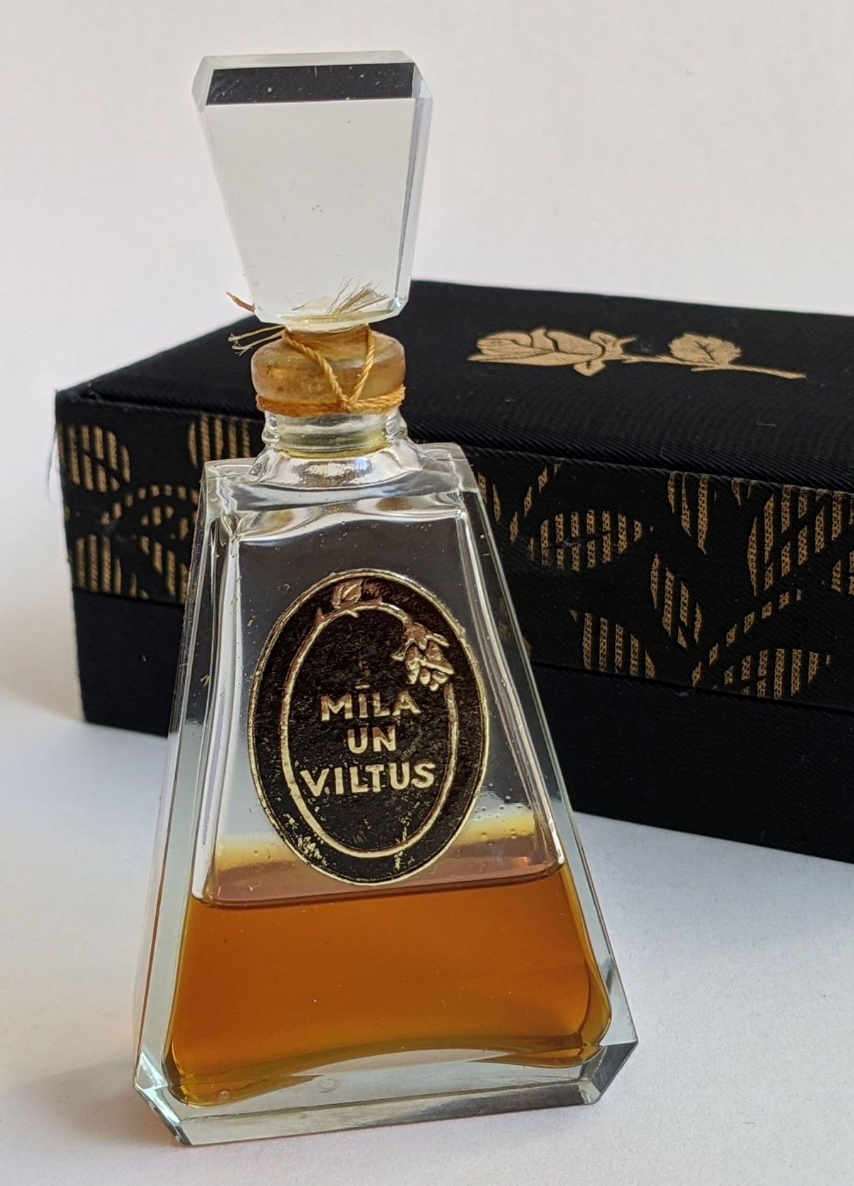 Mīla un viltus (Коварство и любовь)