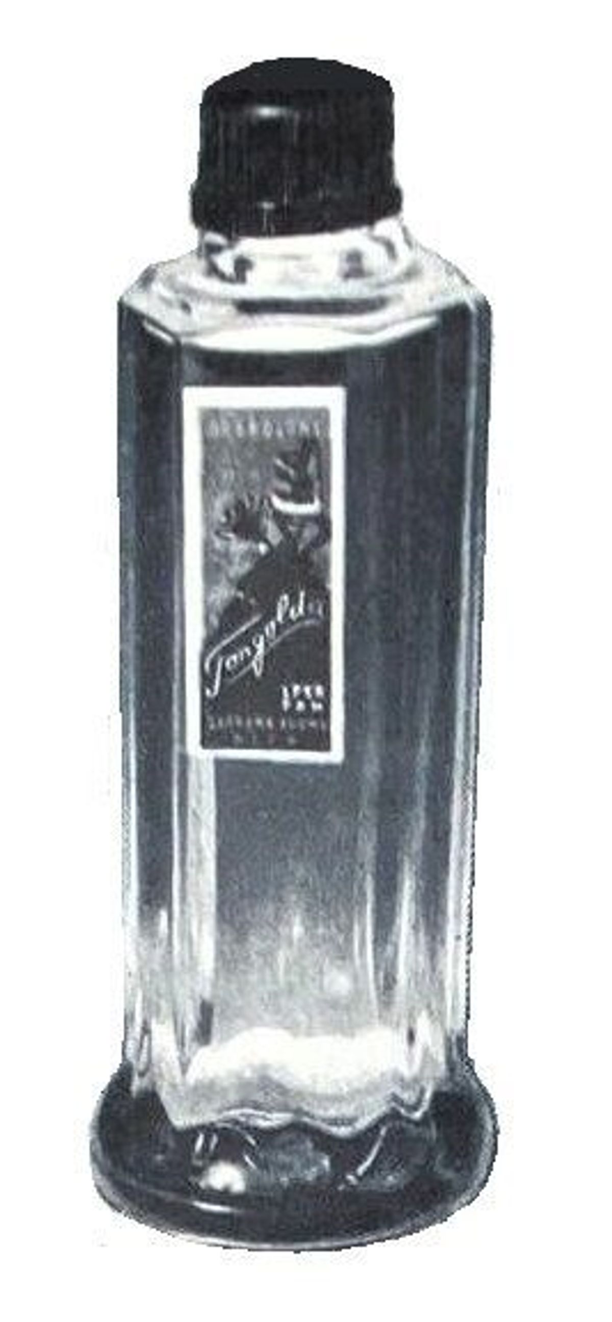 Tangolita