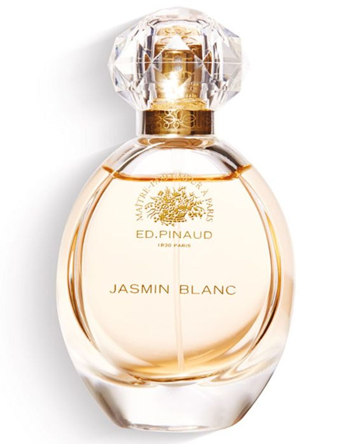 Jasmin Blanc