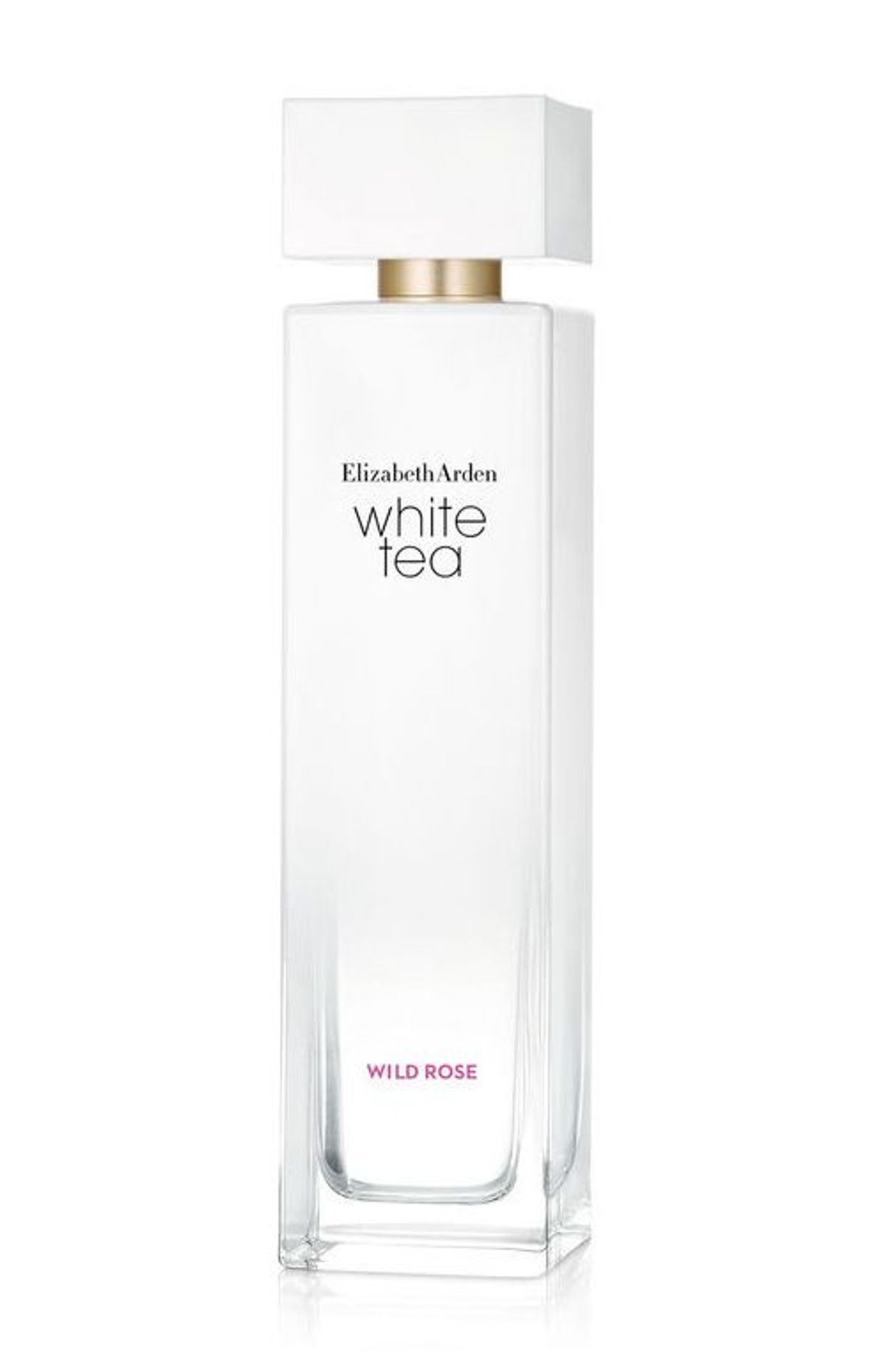 White Tea Wild Rose