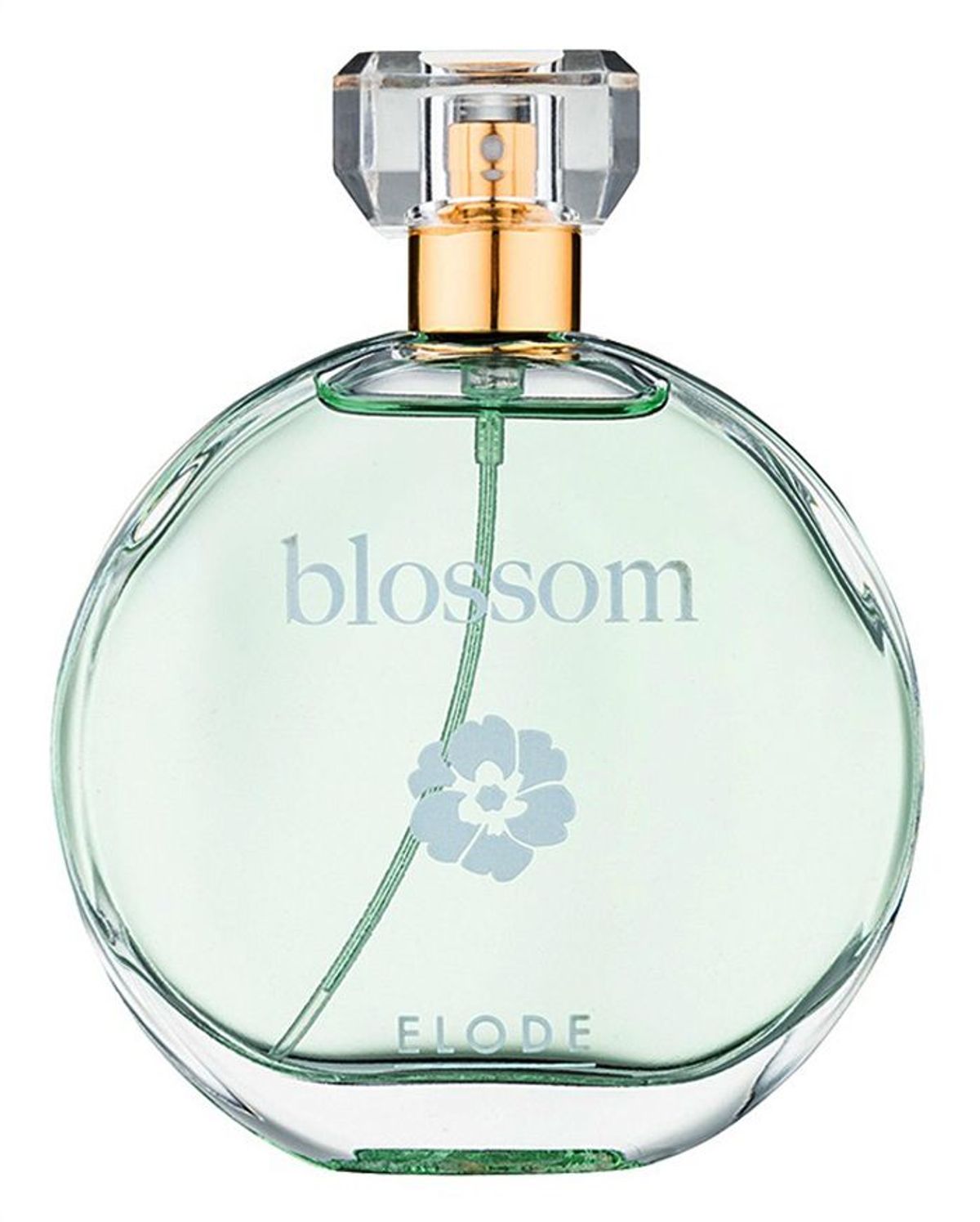 Blossom