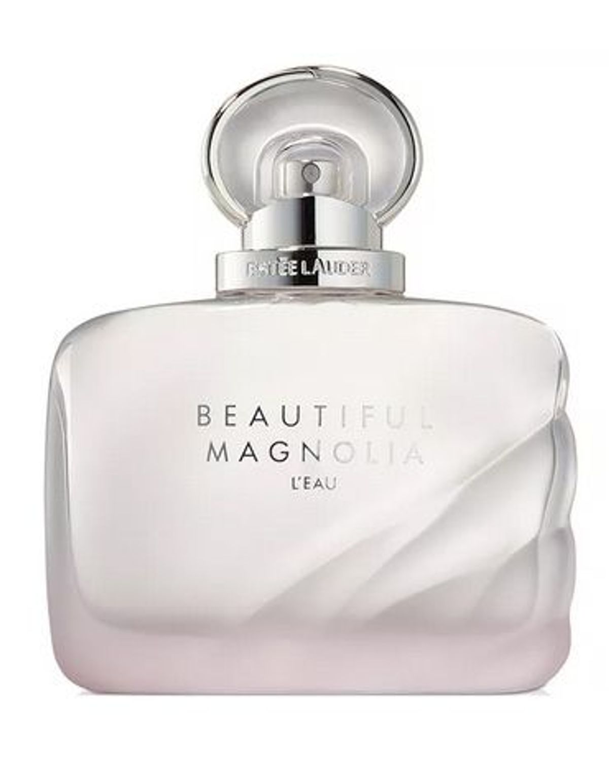 Beautiful Magnolia L'Eau