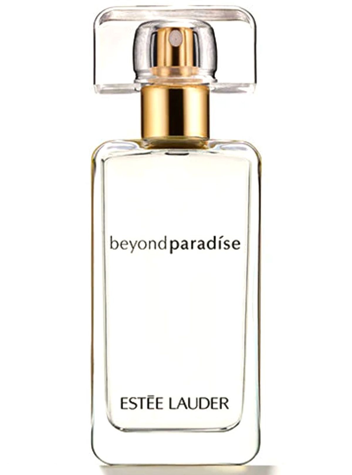 Beyond Paradise