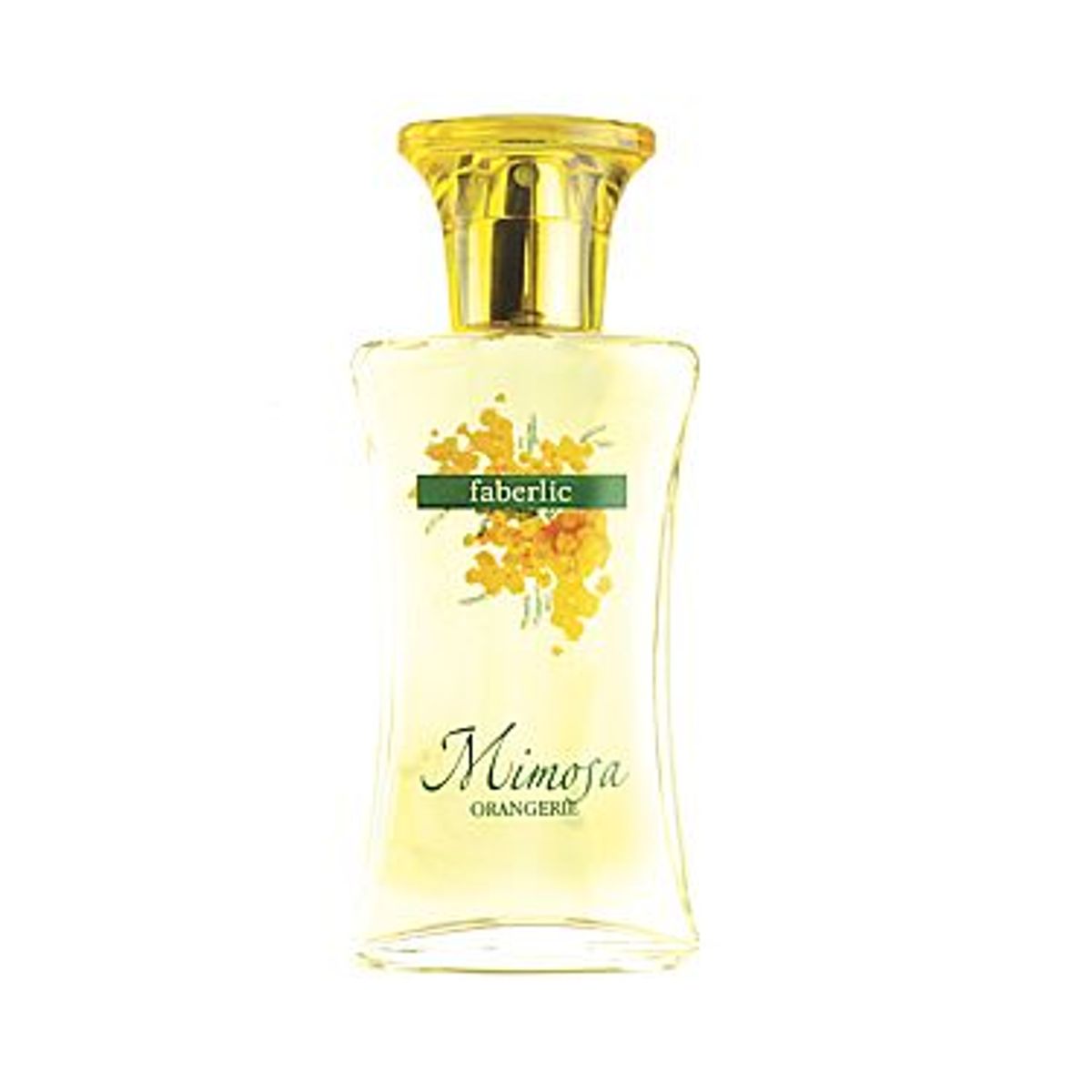 Orangerie Mimosa