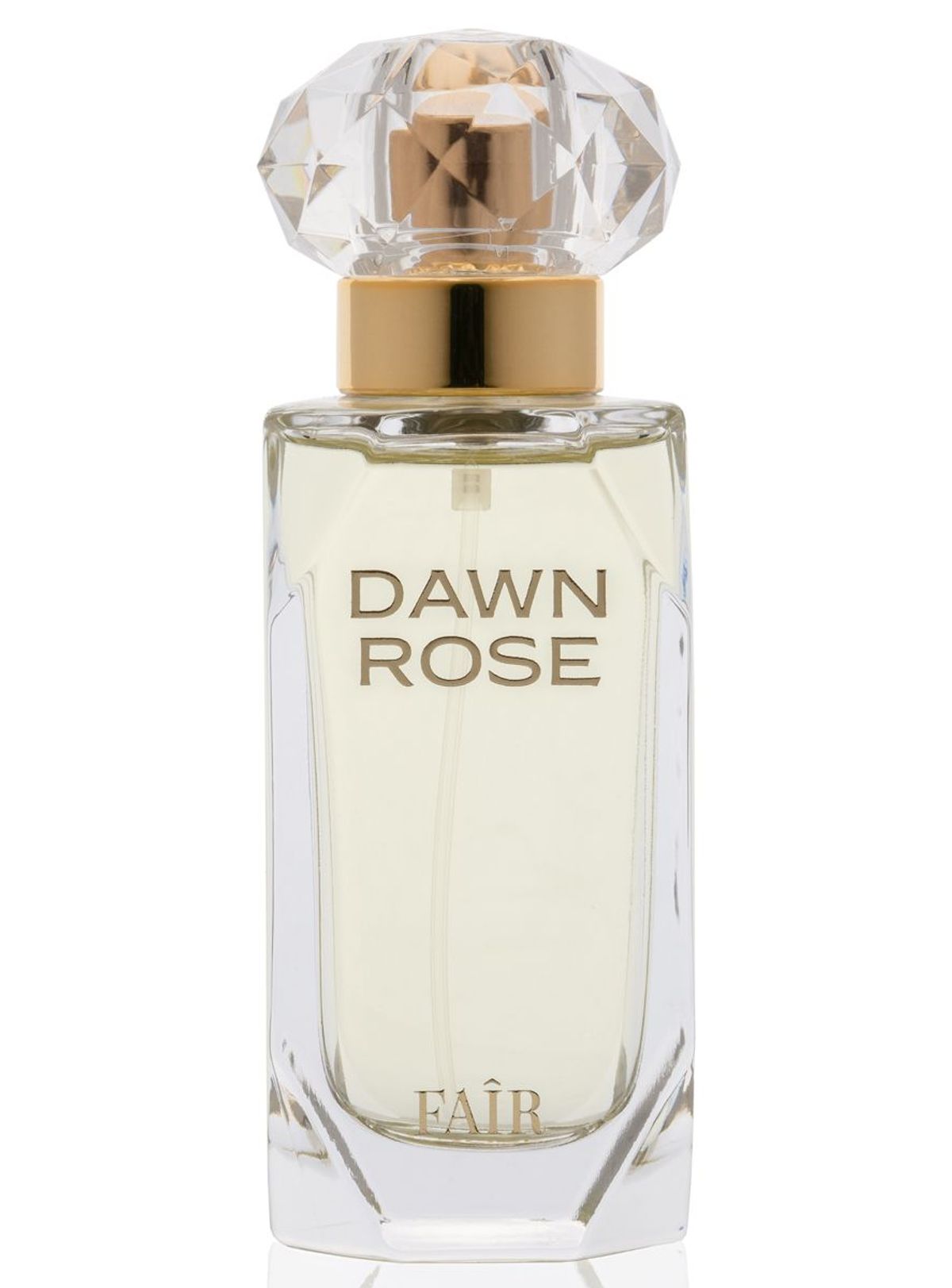 Dawn Rose
