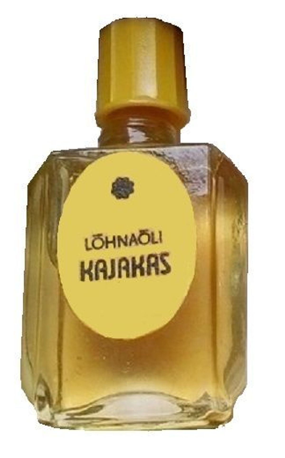 Kajakas (Чайка)