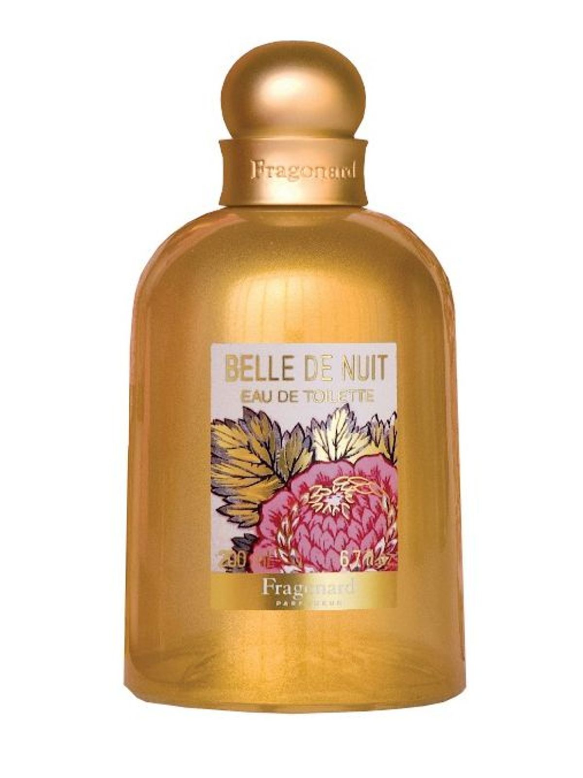 Belle de Nuit