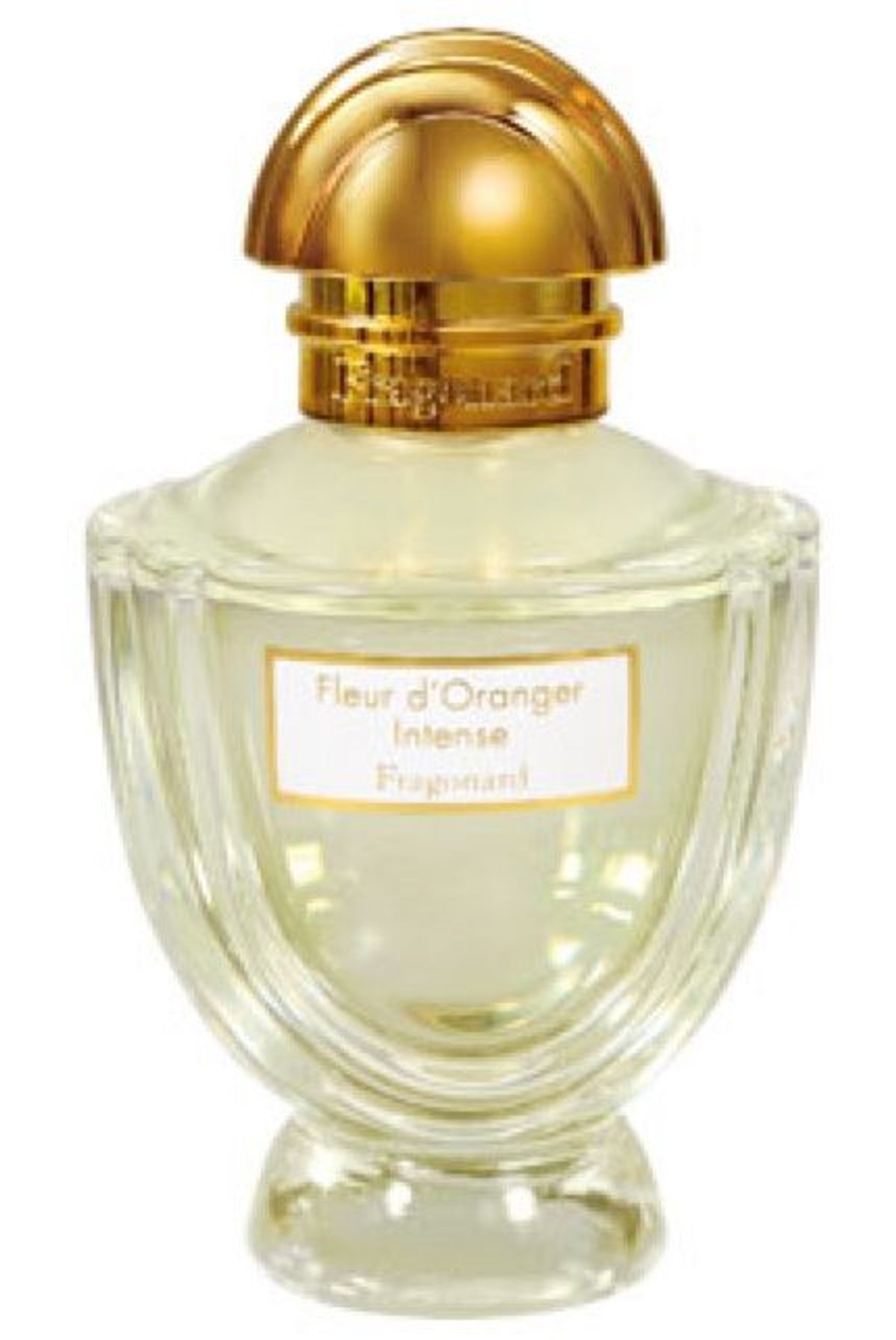 Fleur D'oranger Intense