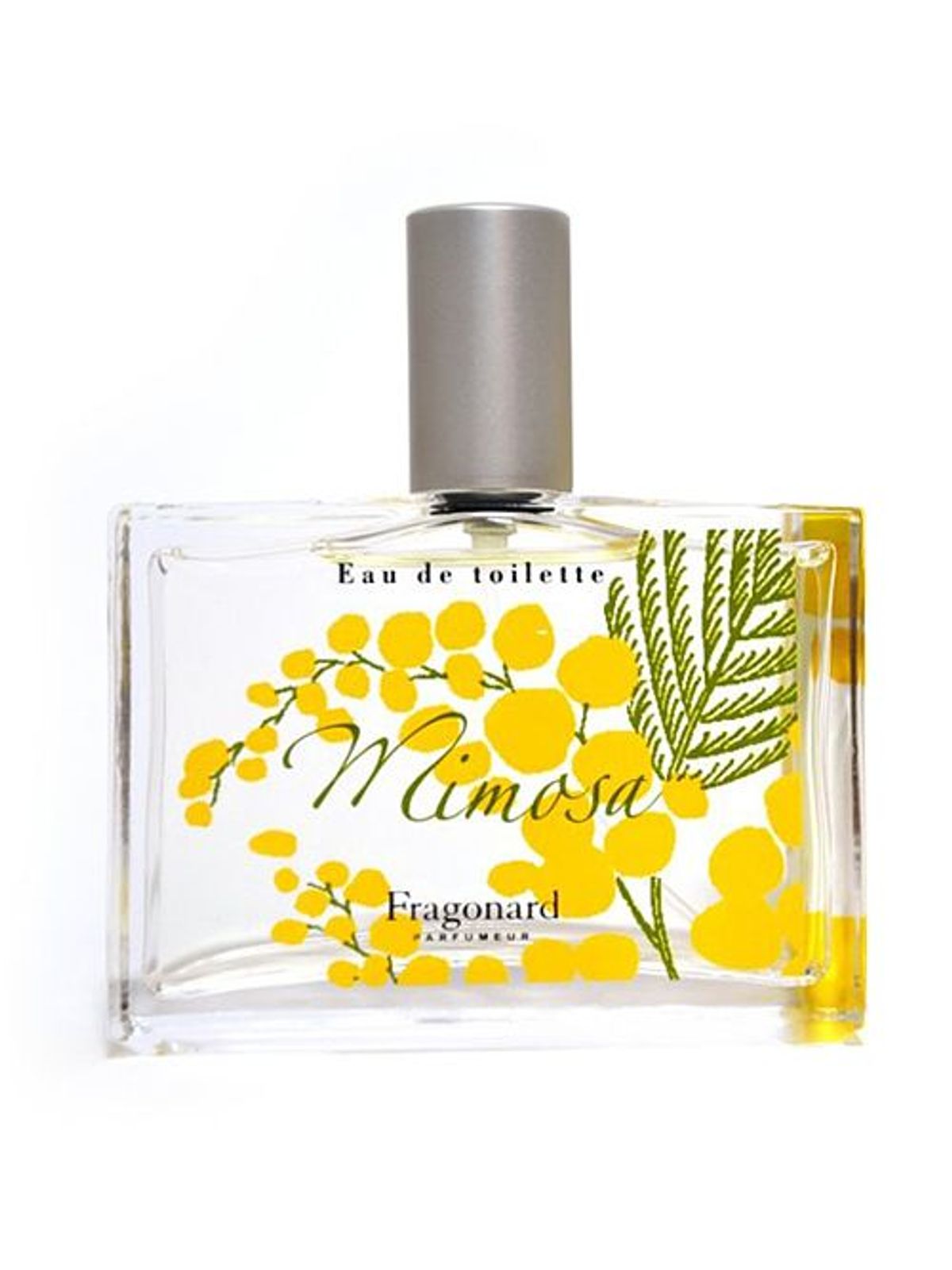 Mimosa