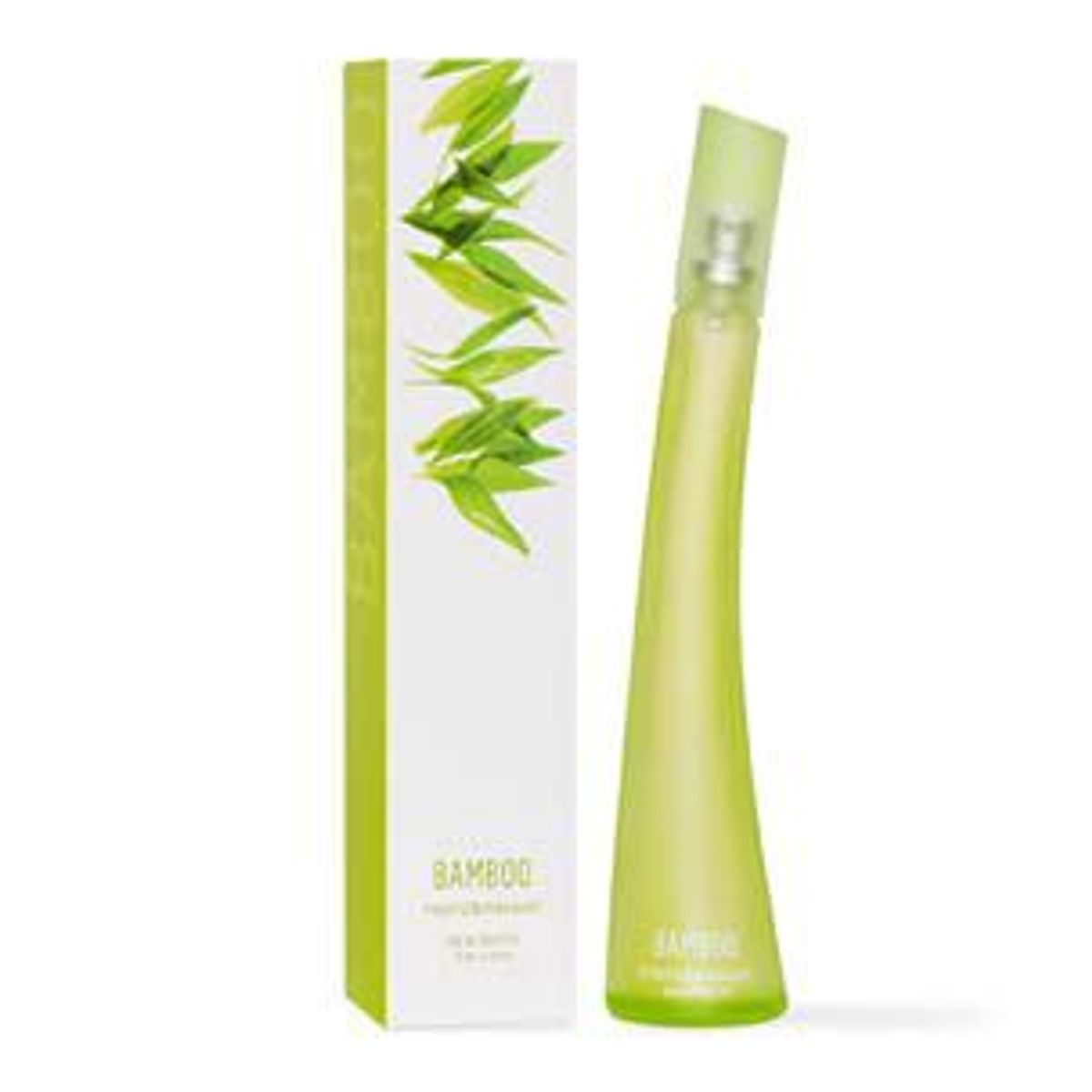 Bamboo
