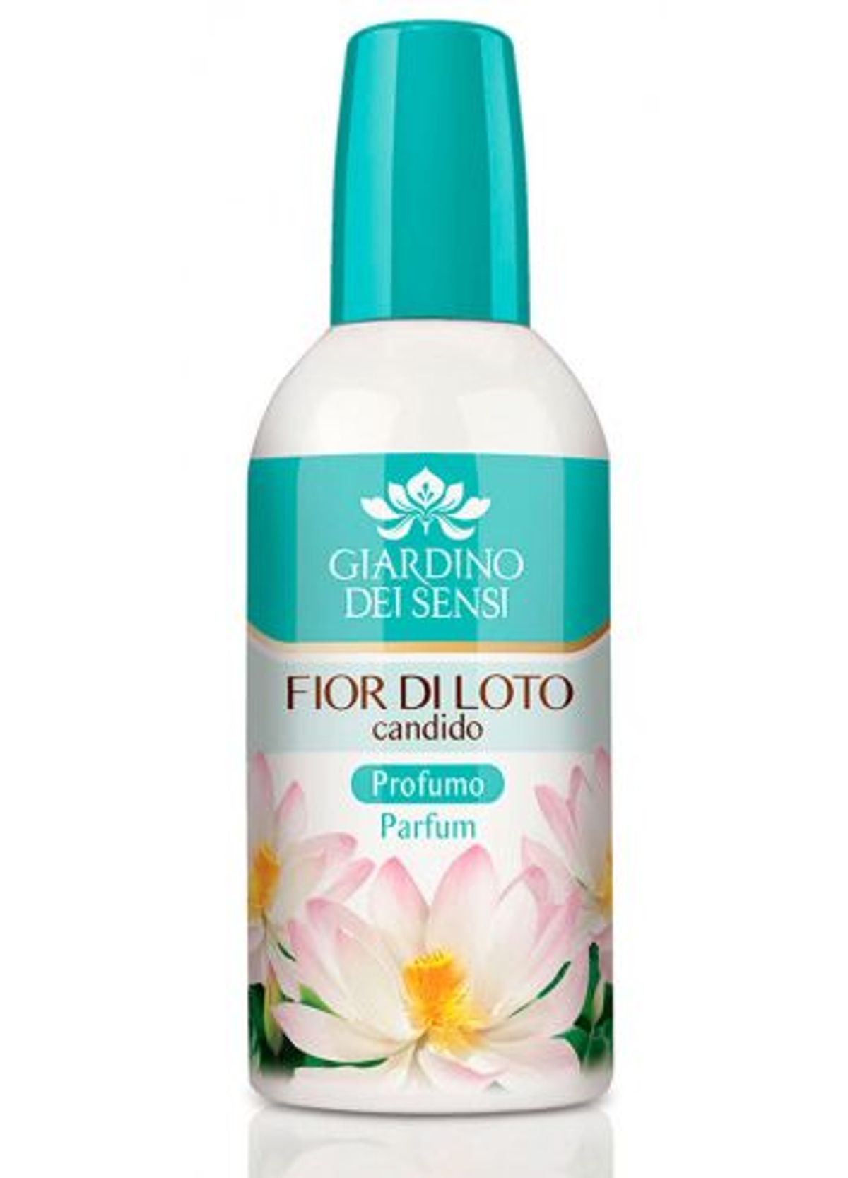Fior di Loto Candido