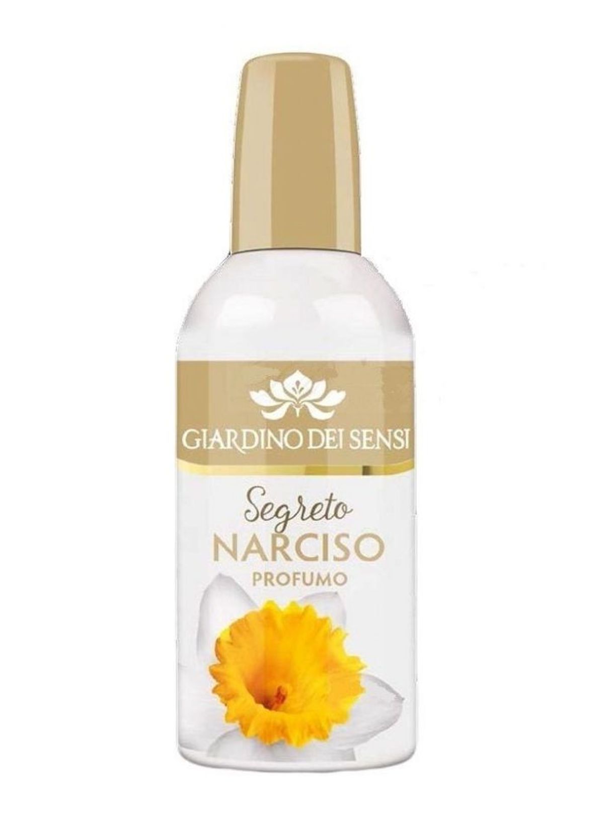Segreto Narciso