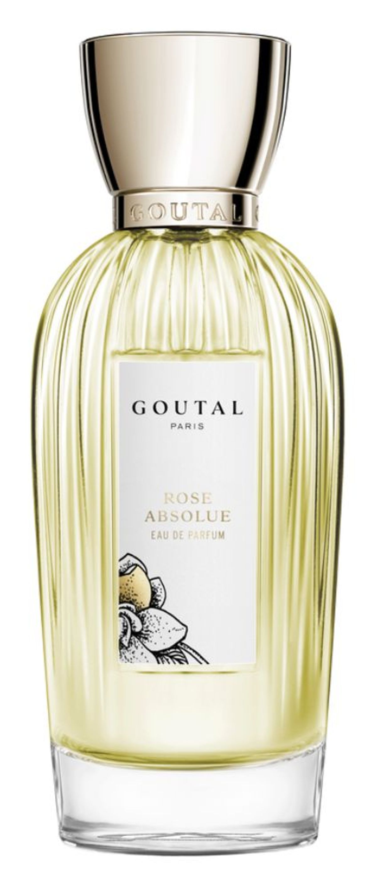 Rose Absolue