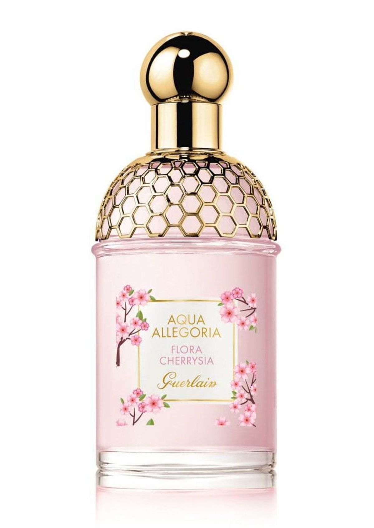 Aqua Allegoria Flora Cherrysia (Sakura Collection 2020)