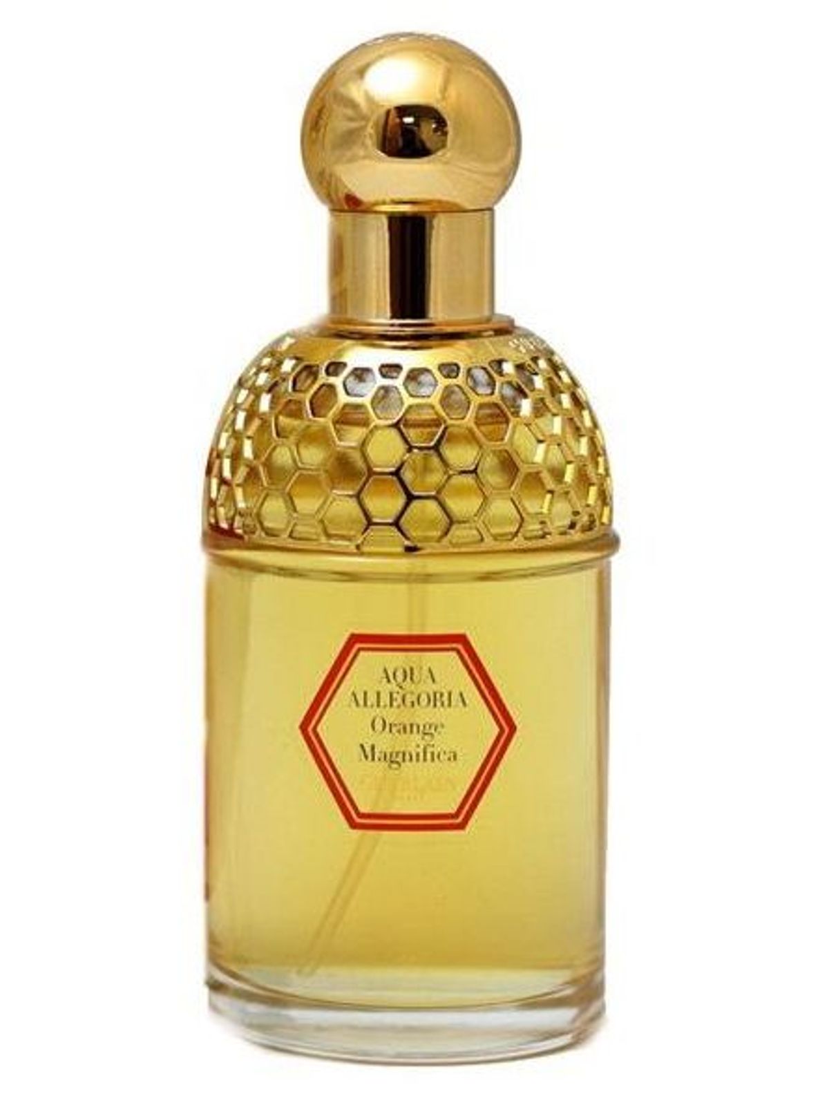 Aqua Allegoria Orange Magnifica