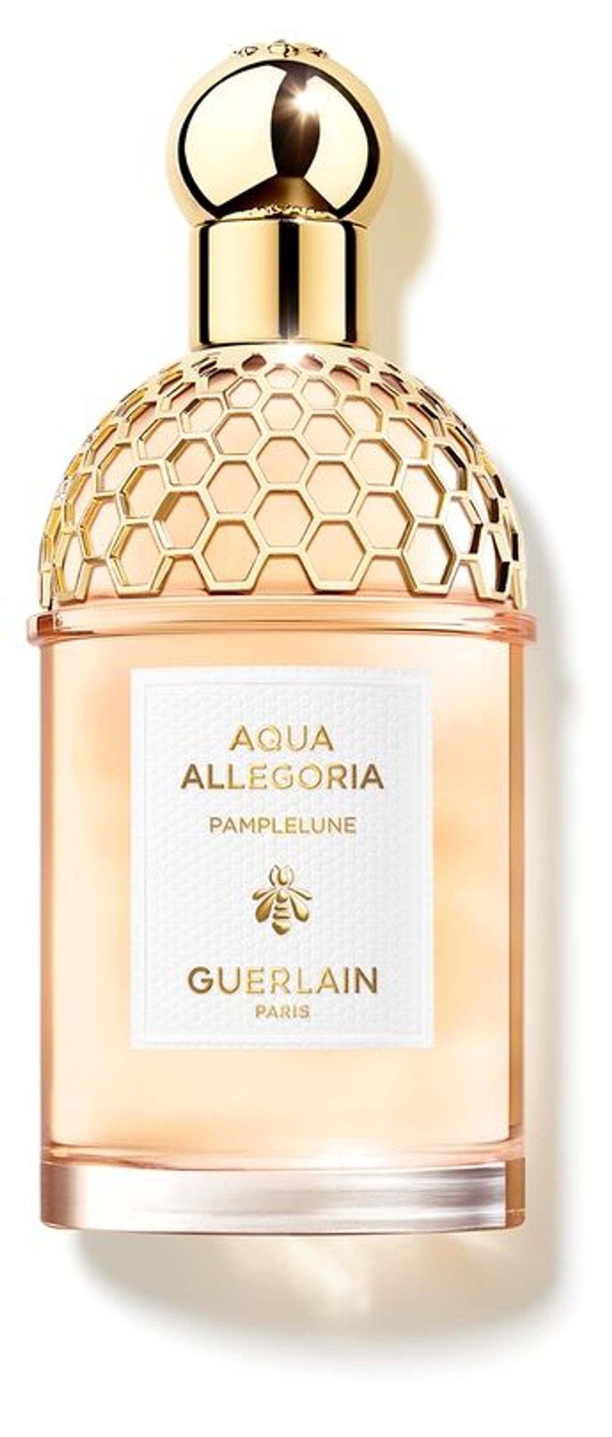 Aqua Allegoria Pamplelune