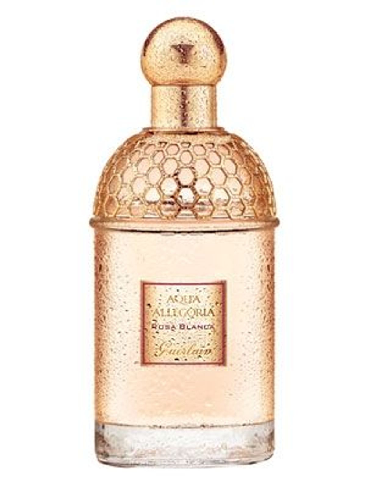 Aqua Allegoria Rosa Blanca