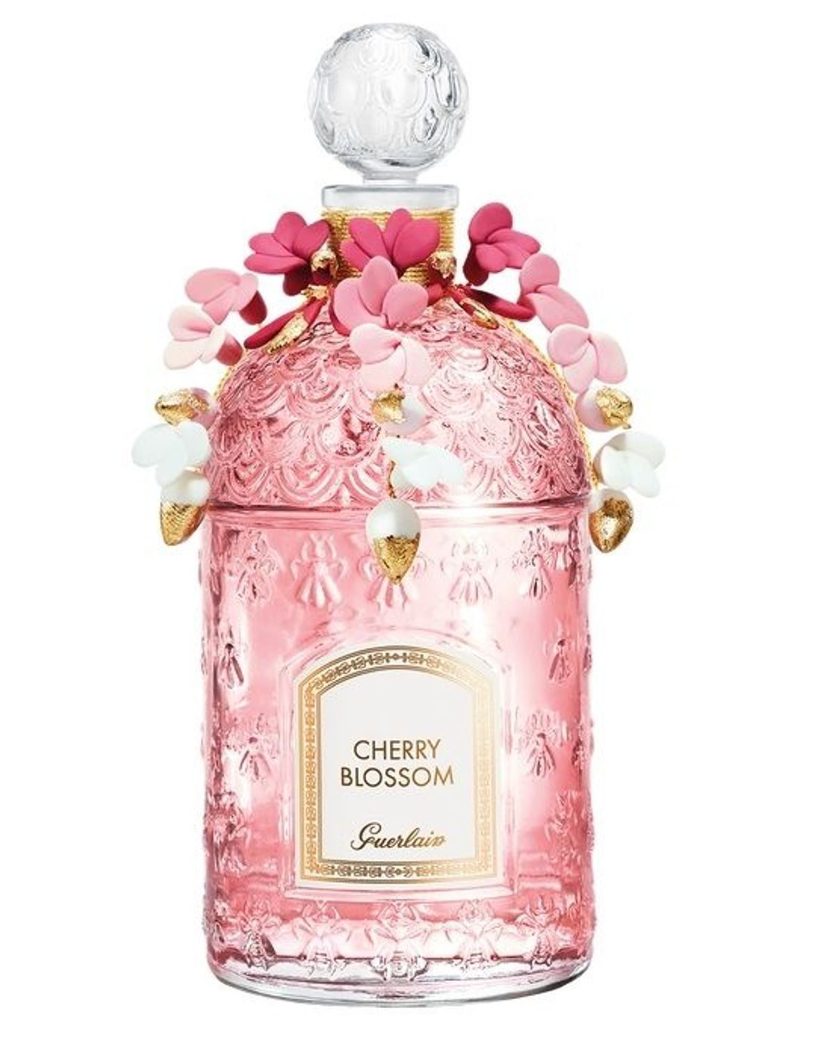 Cherry Blossom 2020 Millésime