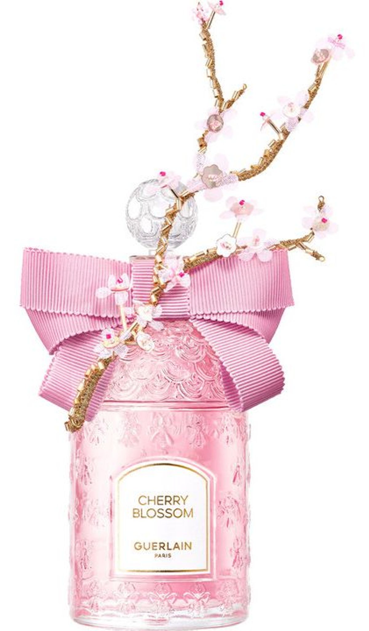 Cherry Blossom 2023 Millésime