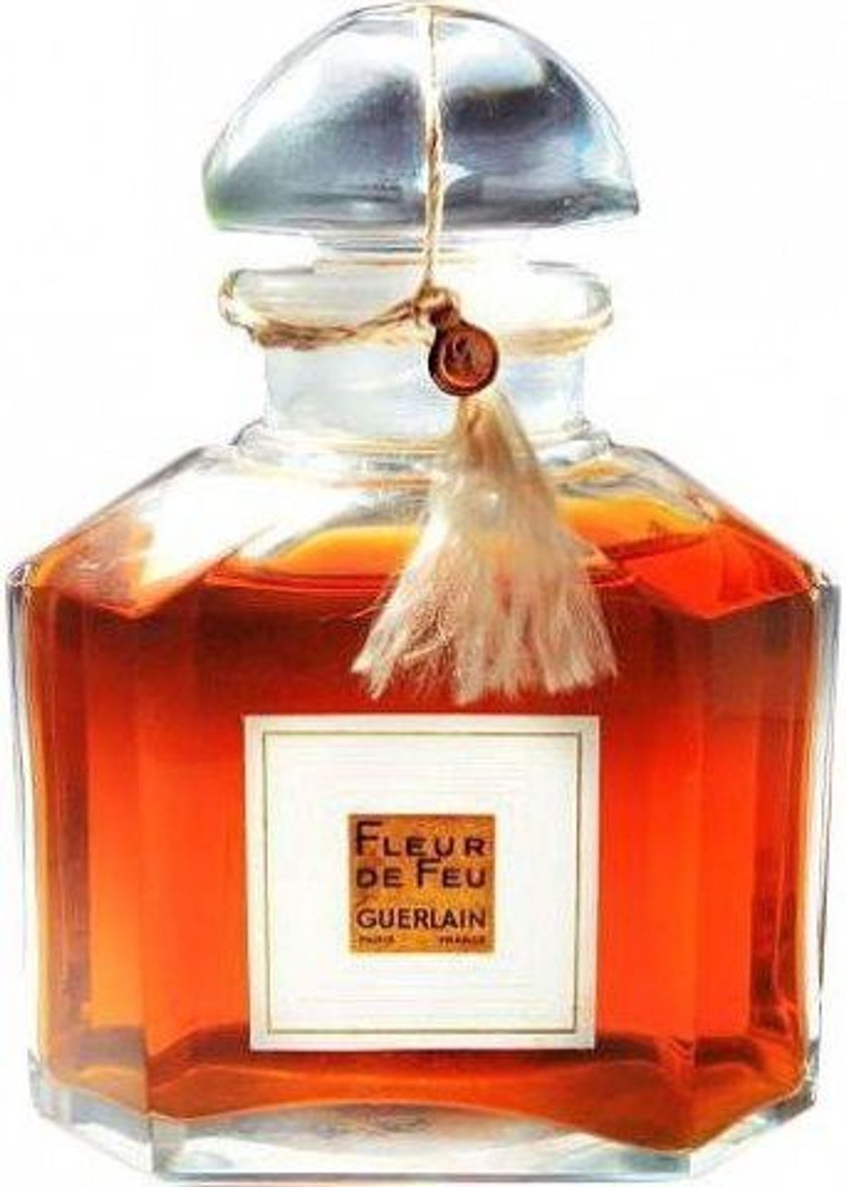Fleur de Feu