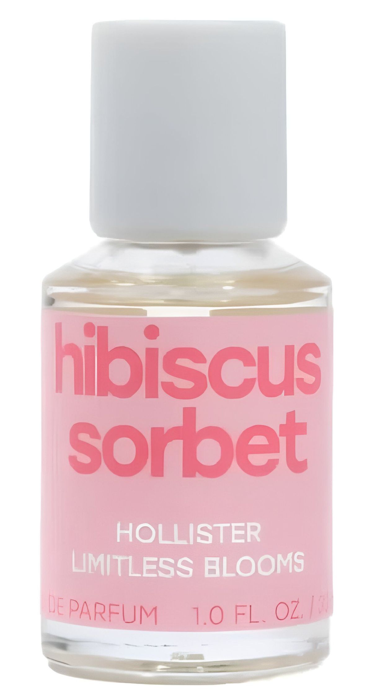 Hibiscus Sorbet