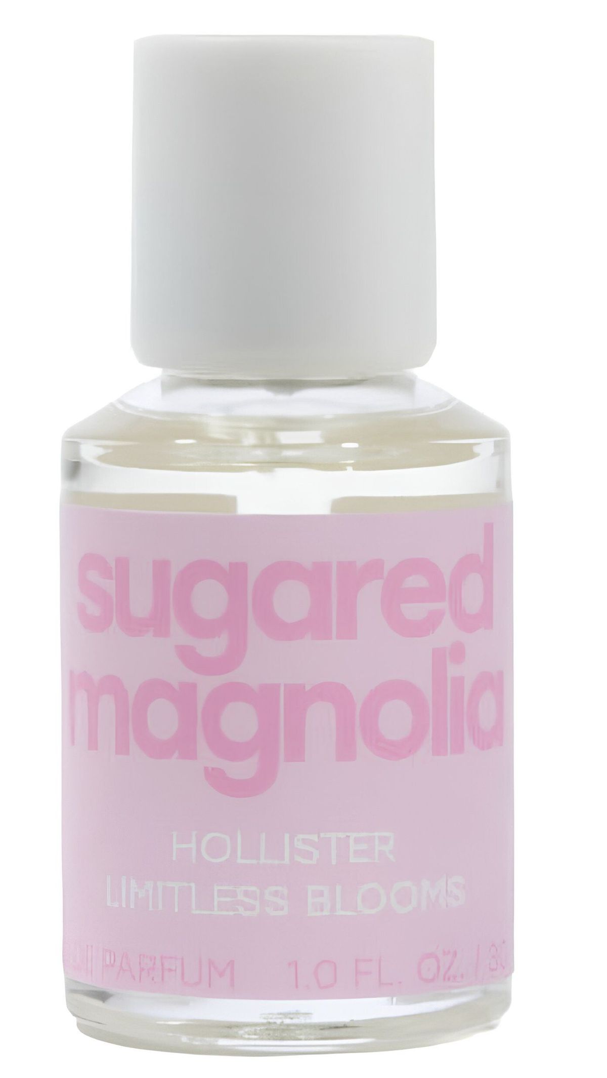 Sugared Magnolia