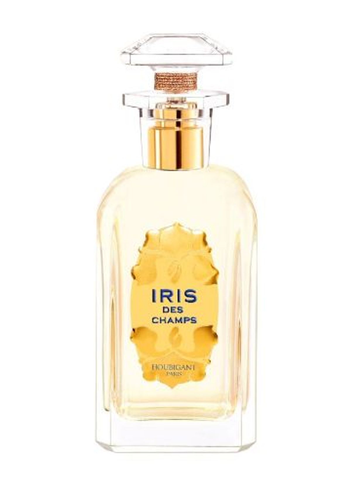Iris des Champs