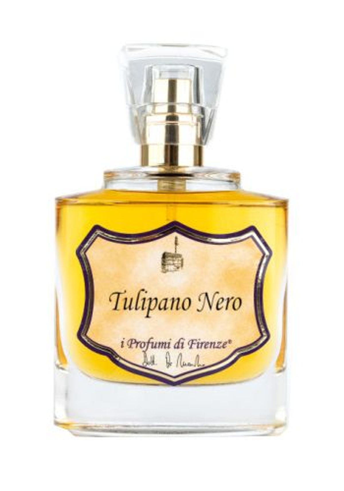 Tulipano Nero